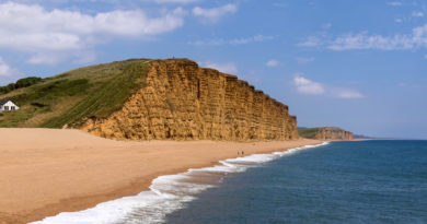 felsen dorset