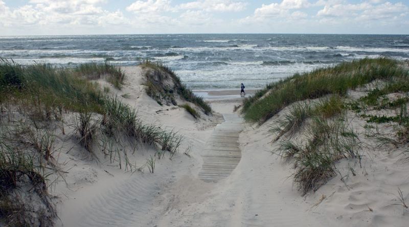 Strand Kurische Nehrung Klaipeda