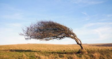 England Trockenheit Wasserknappheit