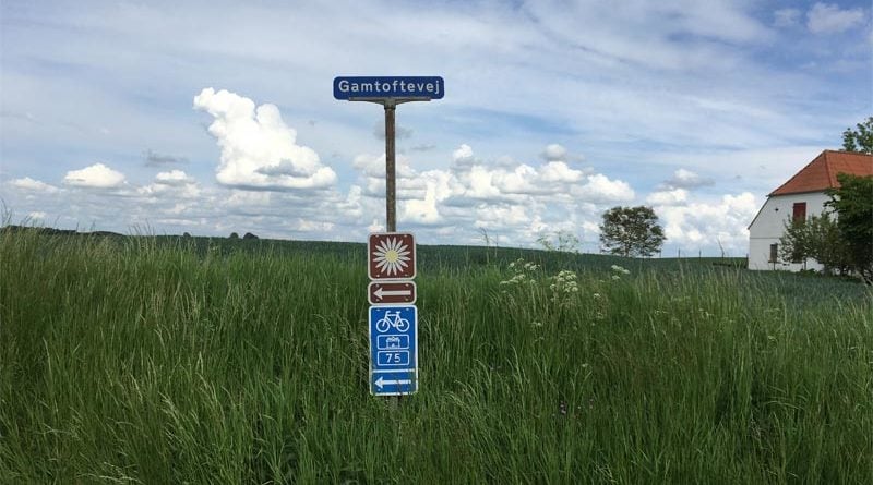 Margeriten-Route Dänemark Reisebericht