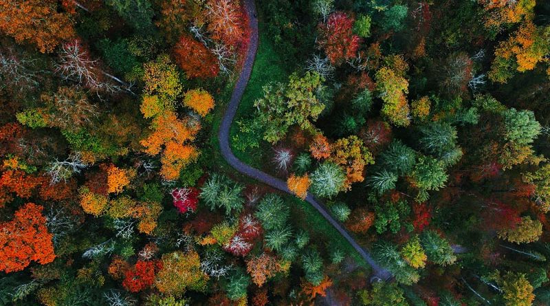 Herbst Lettland