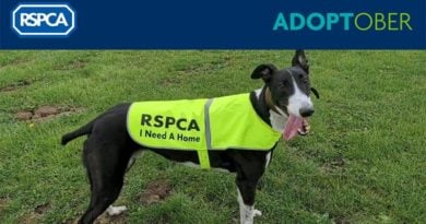 RSPCA