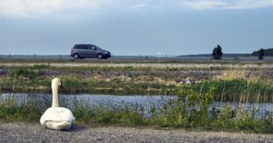 Väinatamm Muhu Saaremaa Umwelt