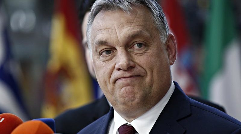 Orban Nato-Beitritt Schweden