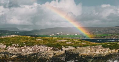 Lebenserwartung Irland Vergleich EU