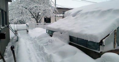 Schnee Winter Estland