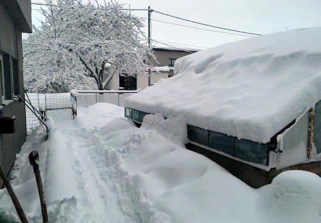 Schnee Winter Estland