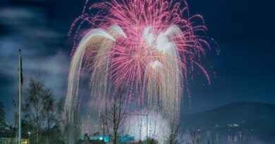 Silvester Norwegen