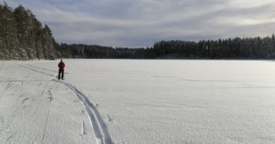 Finnland: Auf Gleitschneeschuhen unterwegs im Leivonmäki Nationalpark