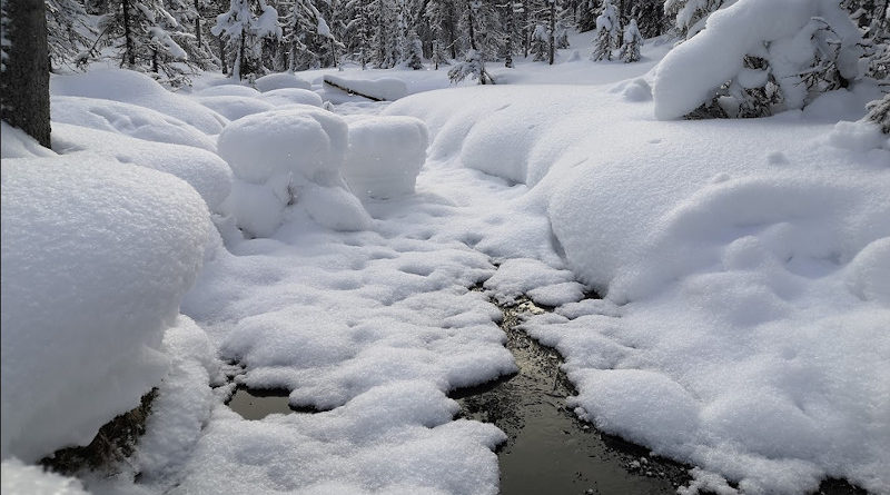 natur winter finnland