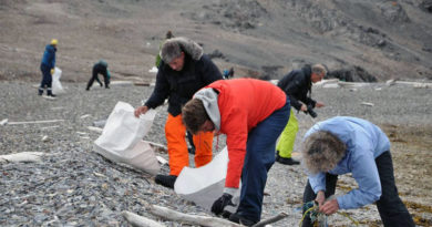 Plastikmüll Arktis