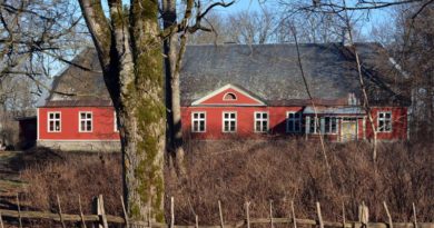 Herrenhaus Riguldi Immobilie Verkauf