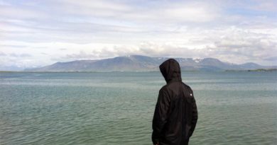 Island Einwanderung Auswandern