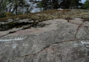 Schweden: 2700 Jahre alte Petroglyphen auf Felswand entdeckt – unter Moos verborgen