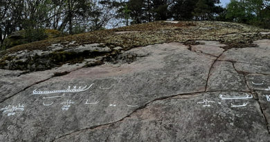 Schweden: 2700 Jahre alte Petroglyphen auf Felswand entdeckt – unter Moos verborgen