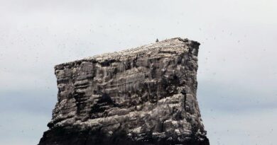 Eldey Erdbeben Island Reykjanes