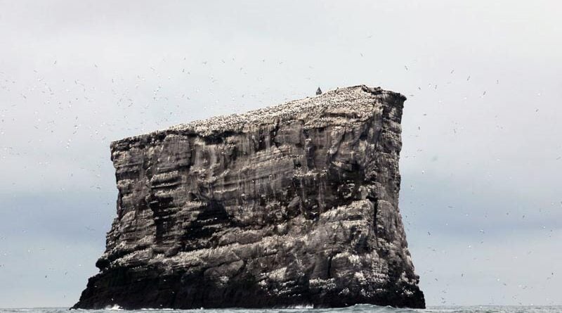 Eldey Erdbeben Island Reykjanes