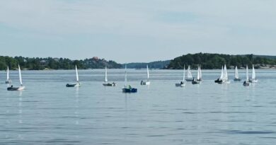 Blaualgen Ostsee Schweden