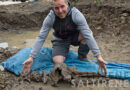 Schottland: Mann gräbt Loch für Swimmingpool – und findet 8000 Jahre alten Delfin