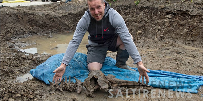 Schottland: Mann gräbt Loch für Swimmingpool – und findet 8000 Jahre alten Delfin