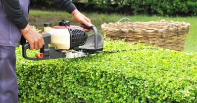 Hecke schneiden Leben in Norwegen