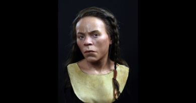4200 Jahre alter Grabfund in Schottland: Gesicht verblüffend detailgetreu rekonstruiert