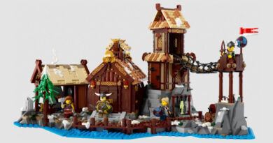 Wikinger Lego 1