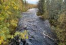 Der regnerische Herbst hat in Lapplands Gewässern zu Hochwasser geführt