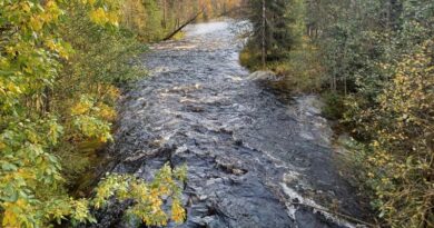 Der regnerische Herbst hat in Lapplands Gewässern zu Hochwasser geführt