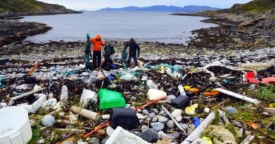 Natur Aufräumtag Norwegen