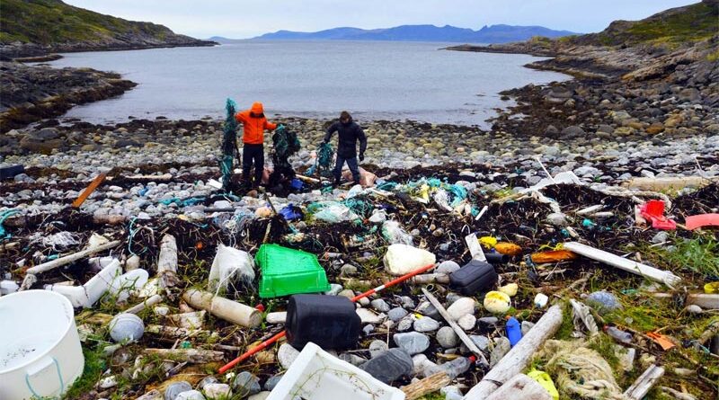 Natur Aufräumtag Norwegen