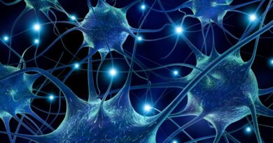 Universität Helsinki macht Fortschritte in der Behandlung der Nervenkrankheit ALS