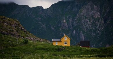 Immobilienpreise Norwegen