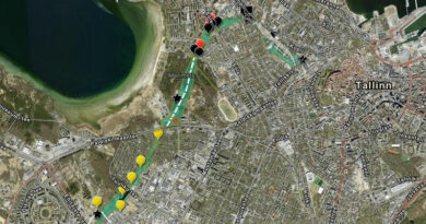 Estland: Hauptstadt Tallinn plant 13 Kilometer langen „Insektenkorridor“ durch die City