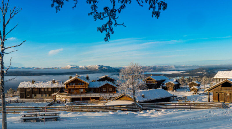 Elch Olav Naturpark Langedrag 5