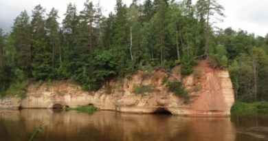 Klippe Gauja