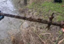 England: Fassungsloser Magnetfischer „angelt“ 400 Jahre altes Schwert aus Fluss in Dorset