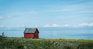 Internet Schweden Byxelkrok