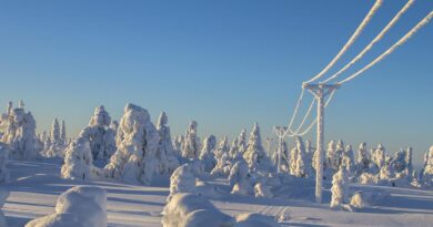 Lappland Winter