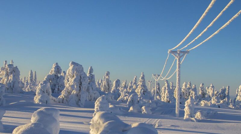 Lappland Winter