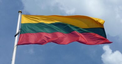 Flagge Litauen