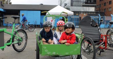 Estland: Neue Studie schlägt u.a. Altersgrenze und Gurtpflicht für Lastenräder vor