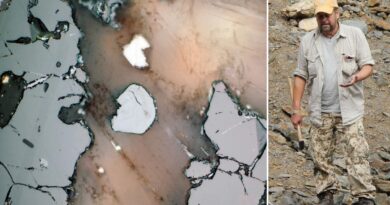 Seltenheit in der Geologie: Neues Mineral in Schweden entdeckt