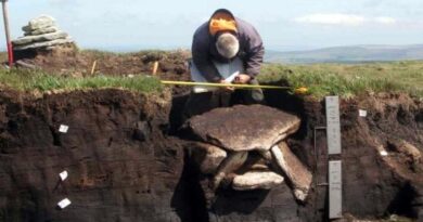 England: Rätselhafte Grabkammer im Dartmoor entdeckt