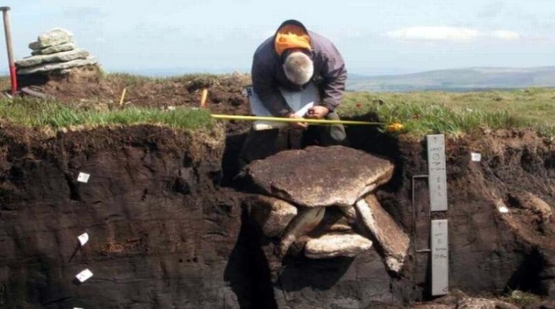 England: Rätselhafte Grabkammer im Dartmoor entdeckt