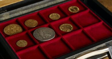 Das Dänische Nationalmuseum kauft sieben seltene Münzen aus der Sammlung L. E. Bruun