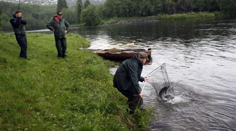 Angeln Norwegen Lachs
