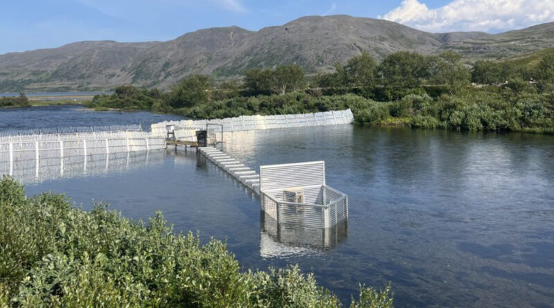 Fischschutz Norwegen