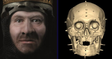 Robert The Bruce 3D-Modell