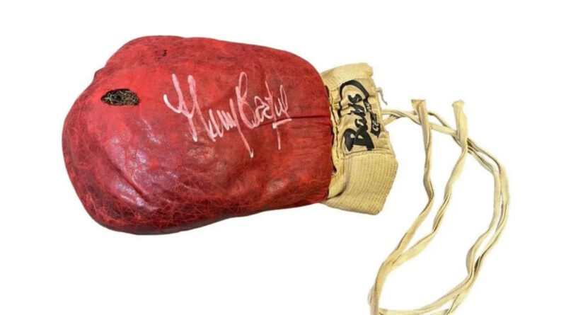 Boxhandschuh Muhammad Ali